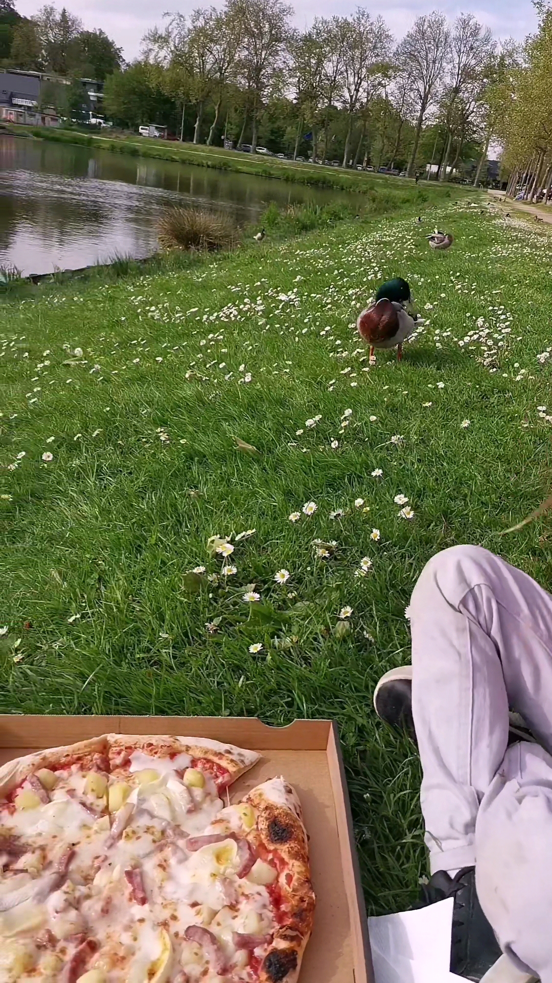 Photo n° 1 de l'avis de Élodie.5 fait le 05/05/2023 à 07:45