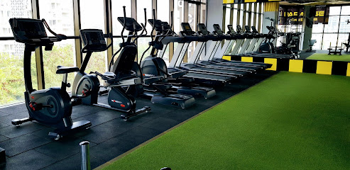 PARADISE FITNESS CLUB - - AVAILABLE ON CULT.FIT - GYMS IN UNDRI, PUNE