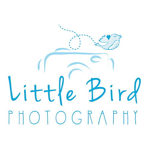 Reviews of Little bird photography in Glasgow - Photography studio