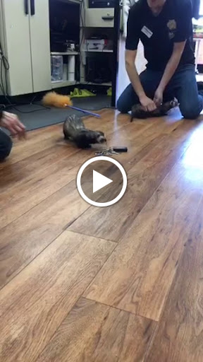 Pet Supply Store «Pet Supermarket», reviews and photos, 5805 State Bridge Rd, Duluth, GA 30097, USA