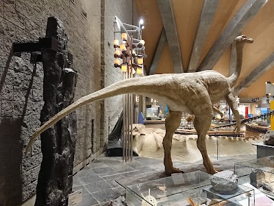 群馬県立自然史博物館