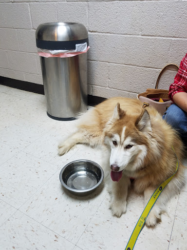 Veterinarian «Pet Vet Supply», reviews and photos, 1215 E Lockheed Dr, Oklahoma City, OK 73110, USA