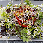 Photo n°4 de l'avis de Stephan.u fait le 23/07/2022 à 18:39 sur le  Bullburger à Bietigheim-Bissingen