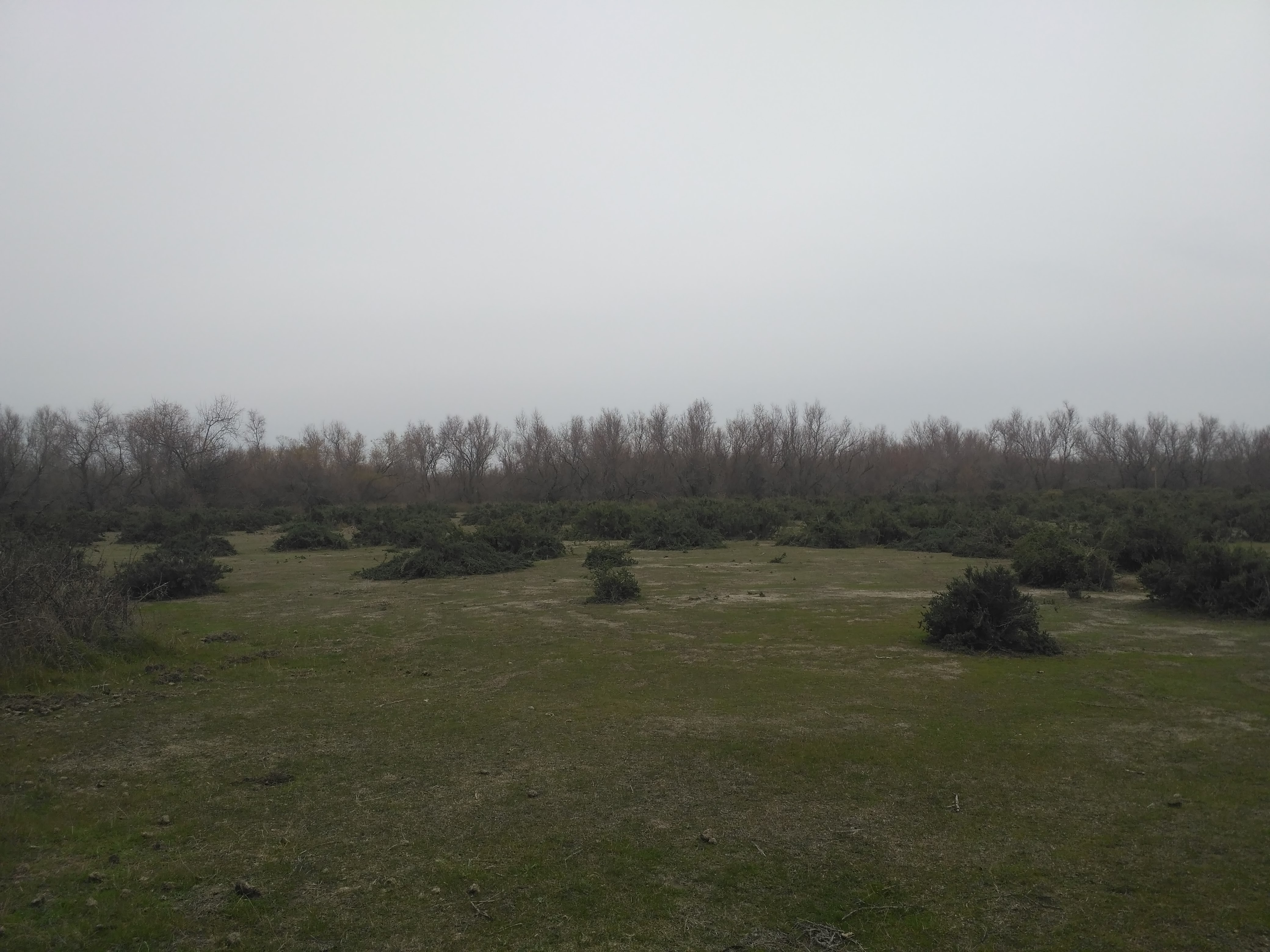 Photo n° 13 de l'avis de Cecile.a fait le 28/02/2018 à 20:50