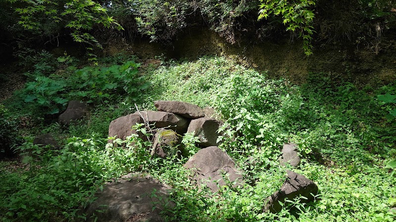 二ツ岳の軽石層