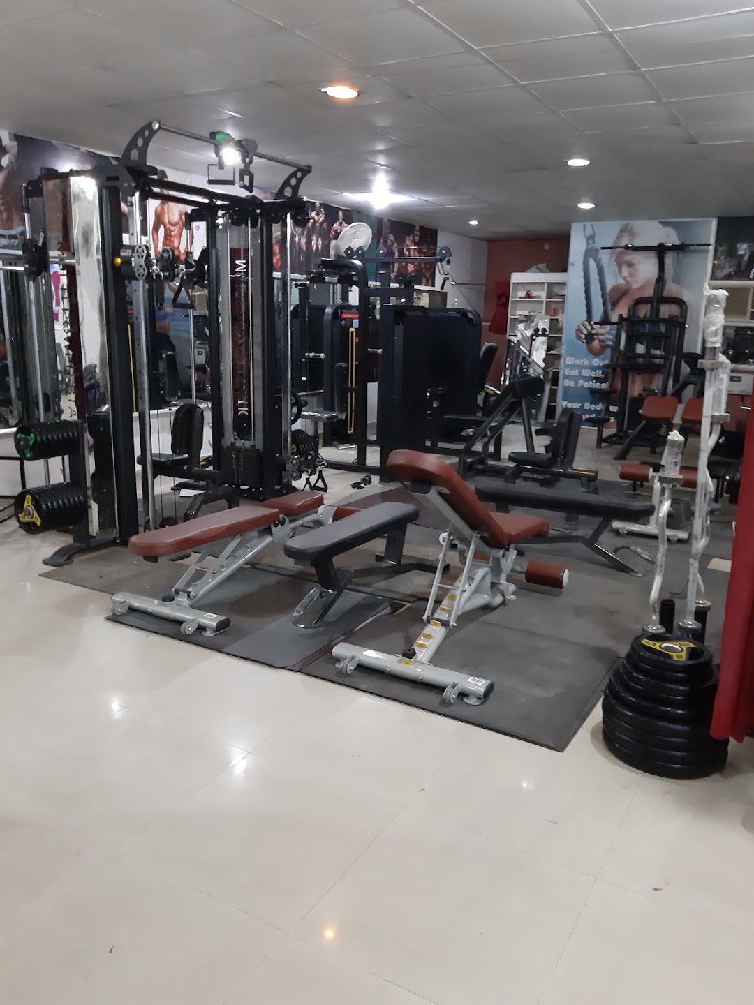 Body Basic Gym