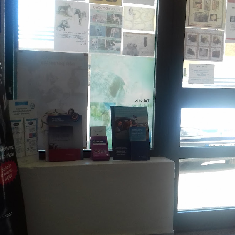 3 image