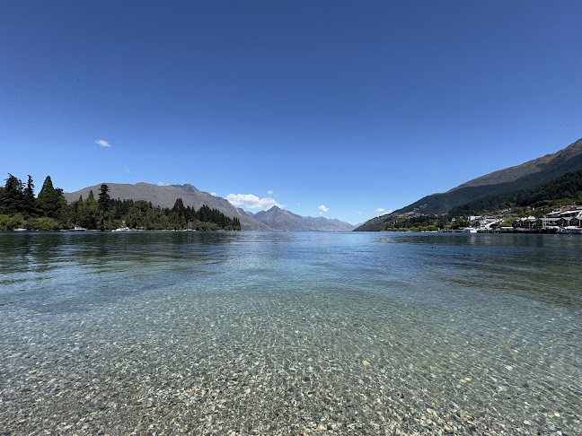 Wild Kiwi Adventure Tours Phone number
