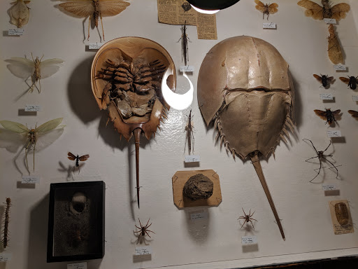 Museum «May Natural History Museum», reviews and photos, 710 Rock Creek Canyon Rd, Colorado Springs, CO 80926, USA