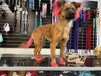 AnimaliA Natural Pet Food, Supplements And Supplies - Car repair in Woodland Hills, CA, Simi Valley - Rated 4.7/5