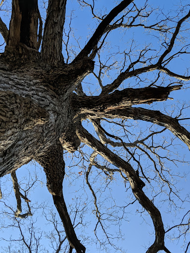 Nature Preserve «Hickory Creek Preserve», reviews and photos, Wolf Rd, Mokena, IL 60448, USA