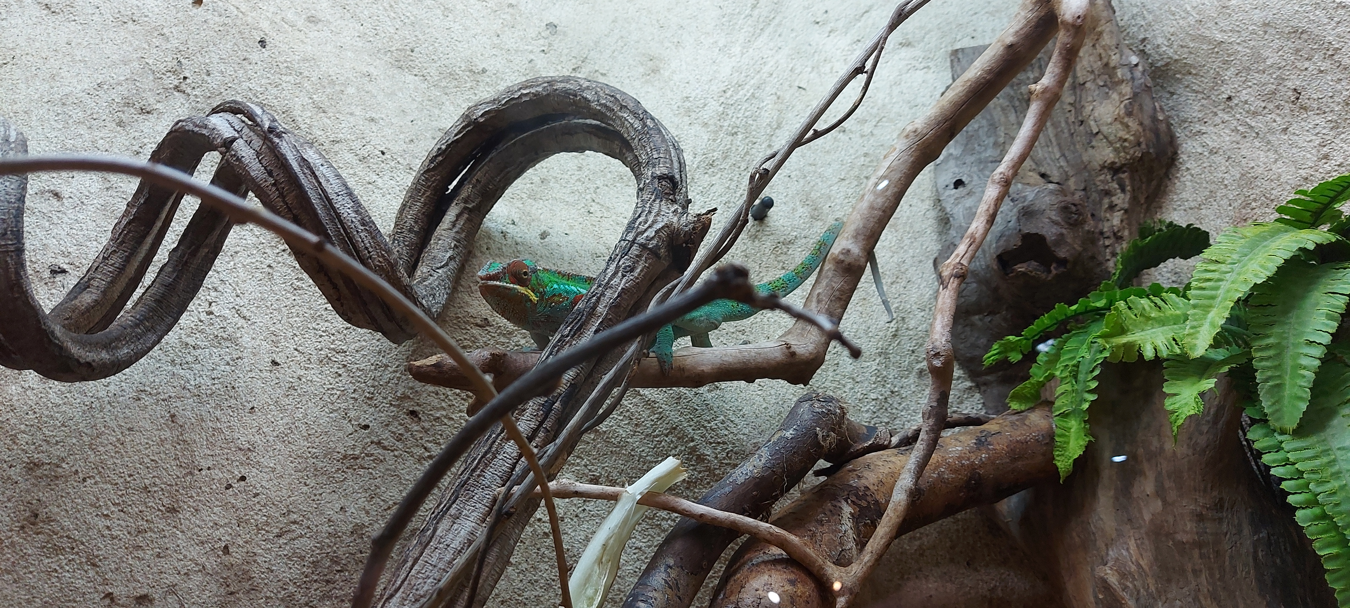 Photo n° 8 de l'avis de Sandrine.o fait le 11/07/2022 à 19:35