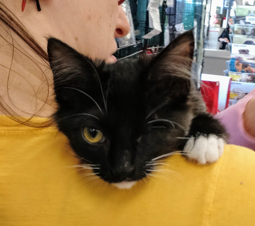 Pet Supply Store «Petco Animal Supplies», reviews and photos, 2722 N Josey Ln #107, Carrollton, TX 75007, USA