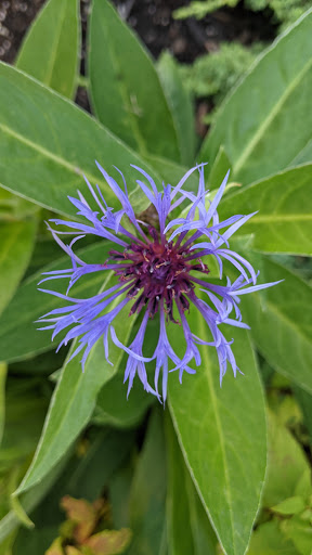 Country Club «Atkinson Resort & Country Club», reviews and photos, 85 Country Club Dr, Atkinson, NH 03811, USA