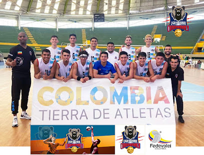 LIGA DE VOLEIBOL DE CUNDINAMARCA. SELECCIÓN MASCULINO