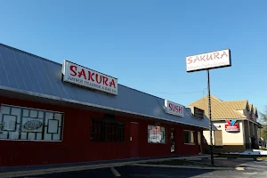 Sakura Japanese Steakhouse & Sushi Bar image