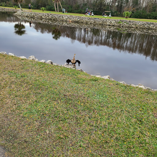 Golf Course «Tarpon Springs Golf Course», reviews and photos, 1310 S Pinellas Ave, Tarpon Springs, FL 34689, USA