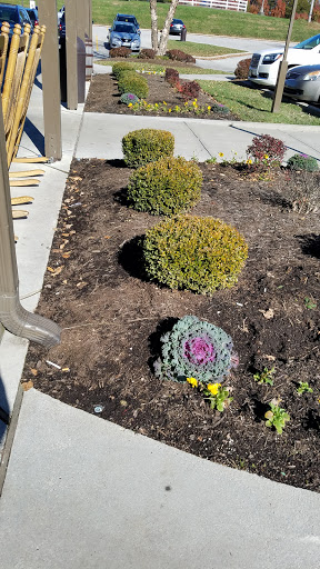 American Restaurant «Cracker Barrel Old Country Store», reviews and photos, 80 Alamo Dr, London, KY 40741, USA