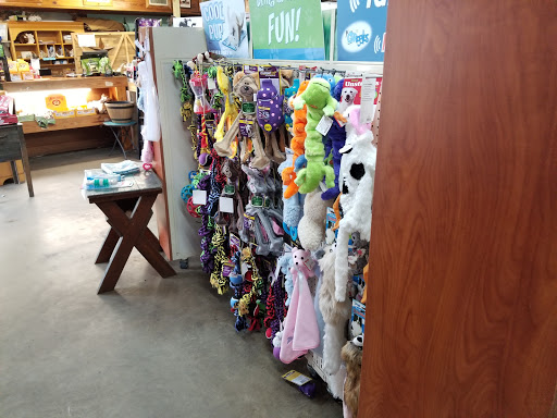 Pet Supply Store «Pet Creations», reviews and photos, 11819 Main St N, Jacksonville, FL 32218, USA