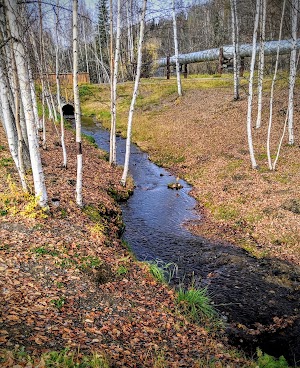 Alaska Pipeline Viewing Point - photo 10