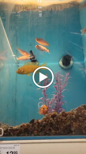 Pet Supply Store «Petco Animal Supplies», reviews and photos, 475 S Wadsworth Blvd, Lakewood, CO 80226, USA