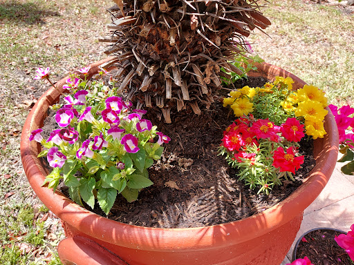 Home Improvement Store «The Home Depot», reviews and photos, 15750 SW 88th St, Miami, FL 33196, USA