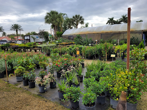Wholesale Plant Nursery «Galloway Farm Nursery Inc.», reviews and photos, 7790 SW 87th Ave, Miami, FL 33173, USA