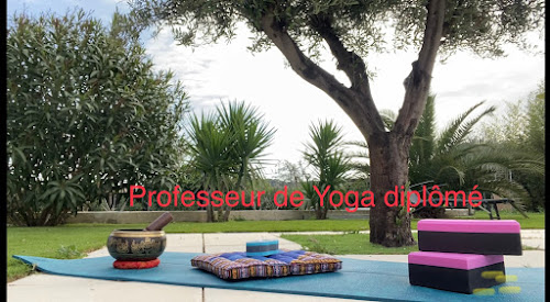 Centre de yoga Yoga & Bien-être Shantipriya Langlade
