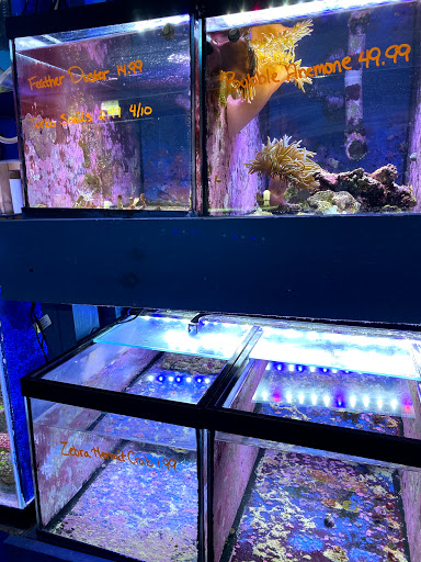 Pet Store «Fish Bowl Aquarium & Pet Mart», reviews and photos, 725 Providence St, West Warwick, RI 02893, USA