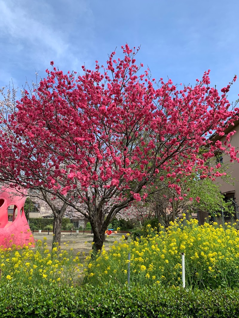 昭和町公園