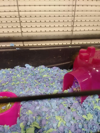 Pet Supply Store «PetSmart», reviews and photos, 777 S Willow St, Manchester, NH 03103, USA