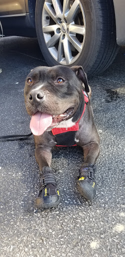 Pet Supply Store «Petco Animal Supplies», reviews and photos, 7303 Pinnacle Pkwy, Covington, LA 70433, USA