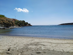 Foto von Porto Lafia beach mit etwas sauber Sauberkeitsgrad