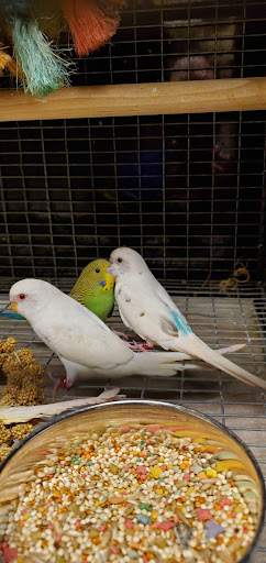 Pet Supply Store «PetSmart», reviews and photos, 777 S Willow St, Manchester, NH 03103, USA