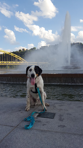 Live Music Venue «Stage AE», reviews and photos, 400 N Shore Dr, Pittsburgh, PA 15212, USA