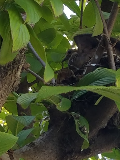 Bowling Alley «Continental Lanes», reviews and photos, 3645 Vanrick Dr, Kalamazoo, MI 49001, USA