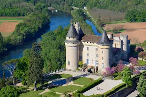 Chateau De Mercues image