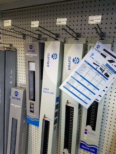 Pet Store «The Aquarium & Fish Store», reviews and photos, 710 W Lumsden Rd, Brandon, FL 33511, USA