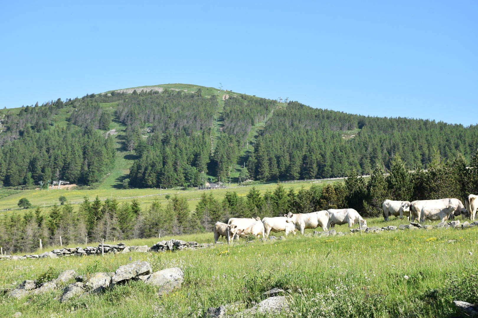 Photo n° 19 de l'avis de Muriel.e fait le 02/07/2019 à 20:00
