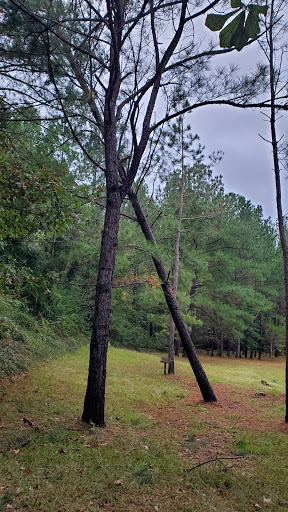 Outdoor Sports Store «Coosa Outdoor Center», reviews and photos, 172 River Rd, Wetumpka, AL 36092, USA