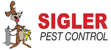 Sigler Pest Control - Photo 4 - Car repair in Chico, CA, Chico