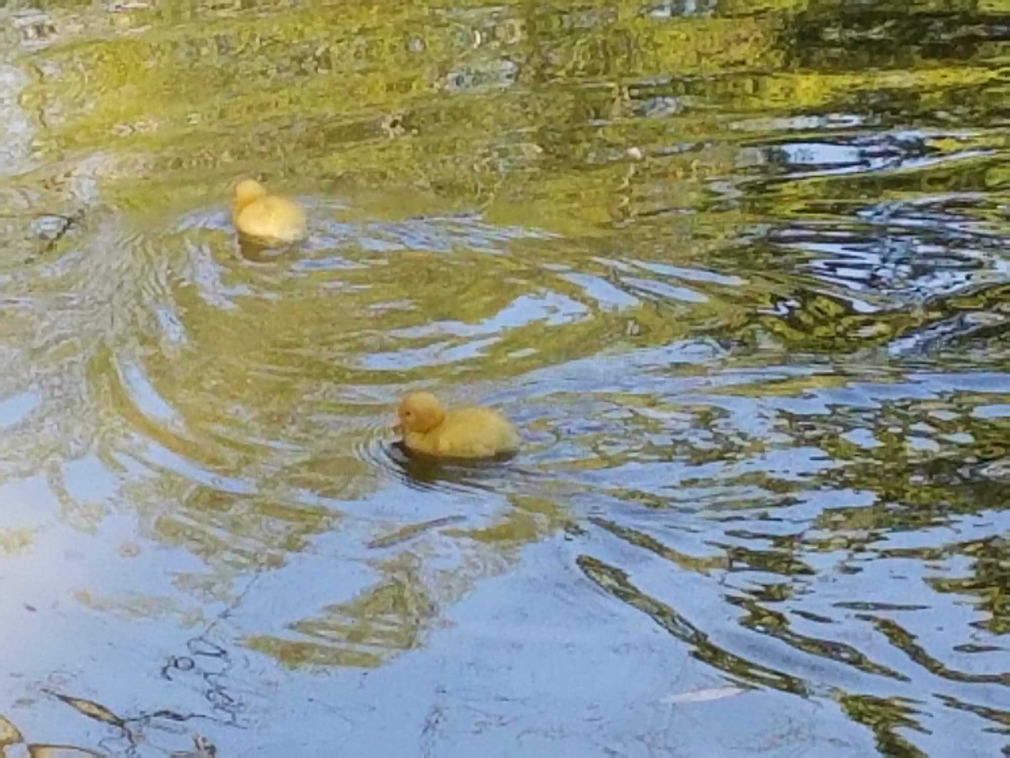 Photo n° 7 de l'avis de Elo.i fait le 14/09/2019 à 15:15