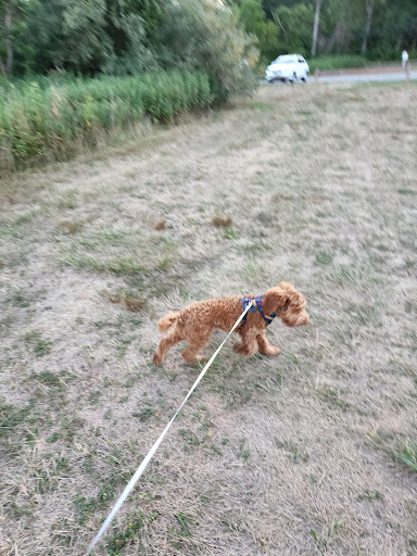 Park «Perrineville Lake Park», reviews and photos, 143 Baird Rd, Millstone, NJ 07726, USA