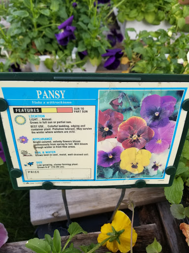 Florist «Lyndhurst Florist», reviews and photos, 5268 Mayfield Rd, Lyndhurst, OH 44124, USA