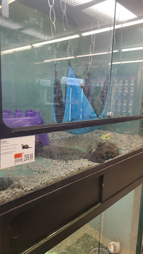 Pet Supply Store «Pet Supplies Plus», reviews and photos, 508 E Stroop Rd, Kettering, OH 45429, USA
