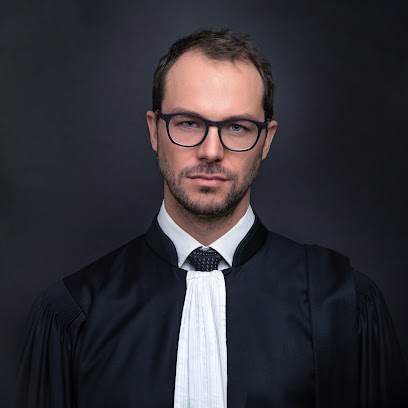 Me Tirelli Ludovic - Avocat pénaliste - spécialiste FSA droit pénal