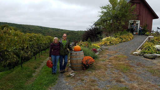 Winery «Walpole Mountain View Winery», reviews and photos, 114 Barnett Hill Rd, Walpole, NH 03608, USA