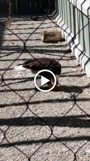 Environmental Organization «VINS Nature Center», reviews and photos, 6565 Woodstock Rd, Quechee, VT 05059, USA