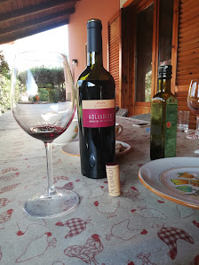 Azienda agricola Mila Vuolo Via Beato Bartolo Longo, 8/A, 84135 Salerno SA, Italia