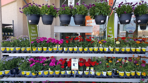 Home Improvement Store «The Home Depot», reviews and photos, 1300-1320 Corporate Dr, Westbury, NY 11590, USA